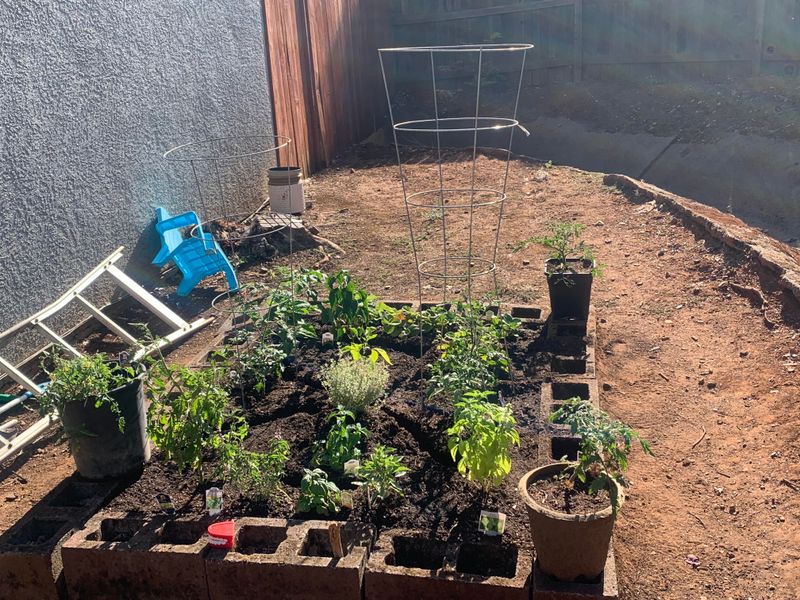 Adjust For Clay Soil