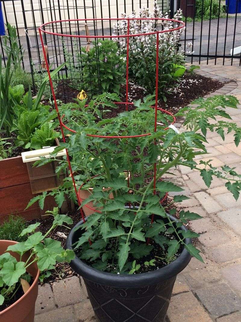 Adjust For Containers, Raised Beds, And Clay Soil