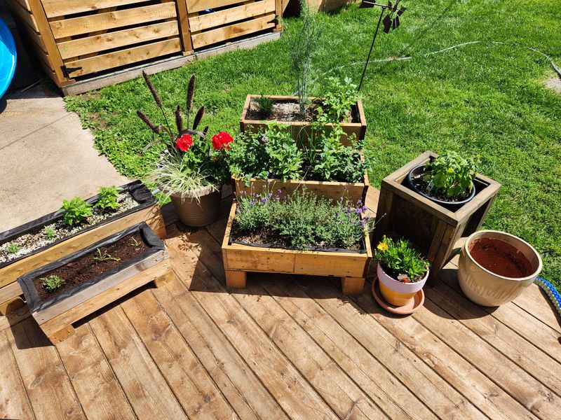 Adjust Soil And Watering By Region