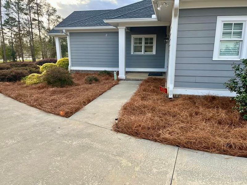 Airflow Around Roots Can Improve With Looser Coverage