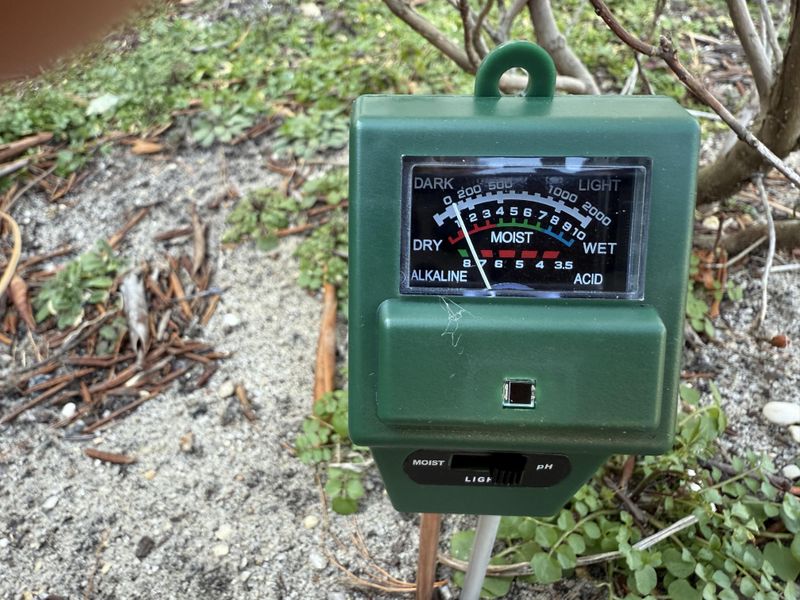 Alkaline Soil Pockets That Slow Growth Down