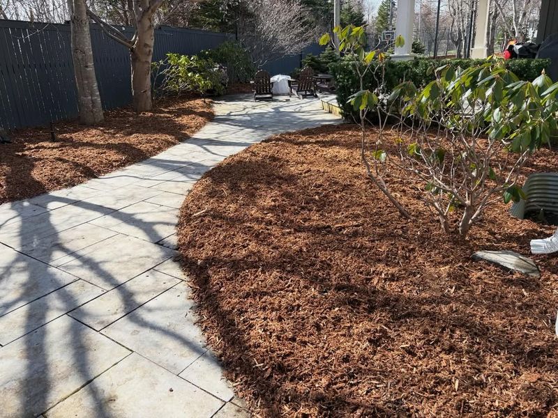 Allowing Mulch To Build Up Around Shaded Garden Areas