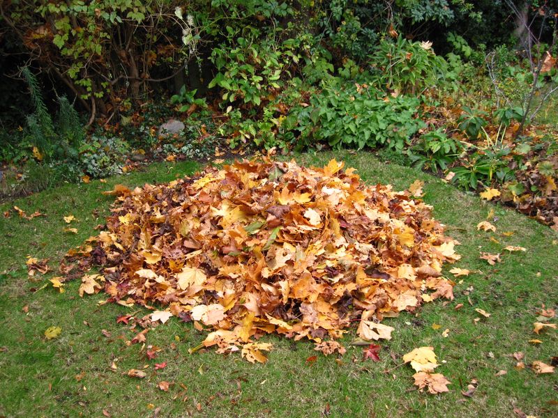 Allowing Yard Clutter To Build Up