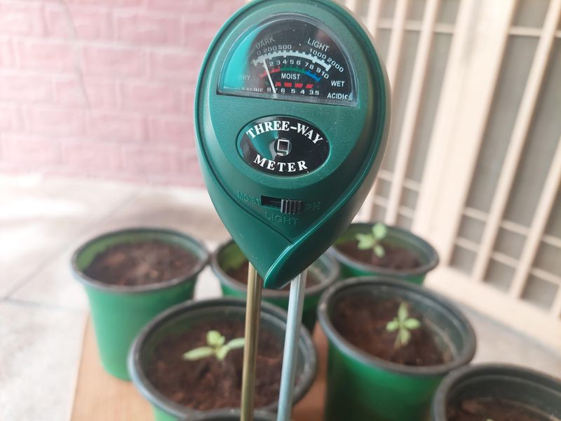 Always Check Your Soil Before You Reach For The Hose