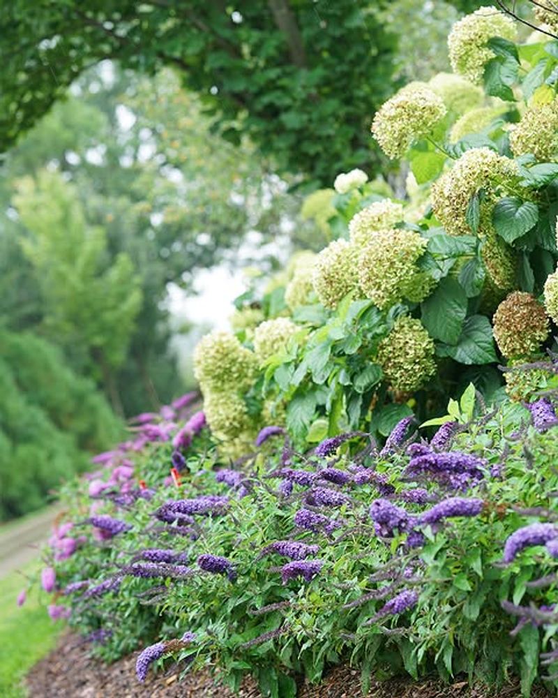 Apply Balanced Fertilizer Carefully Apply Balanced Fertilizer Carefully