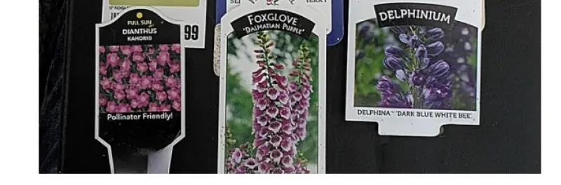 Ask The Nursery Before You Trust The Tag