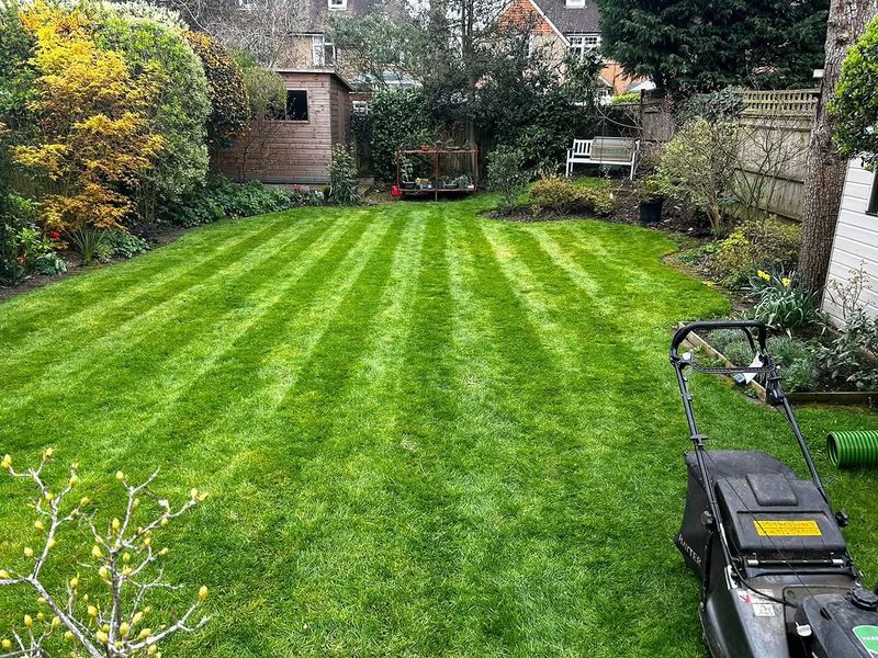 August Is When North Carolina Gardeners Prepare Lawns For Fall Recovery