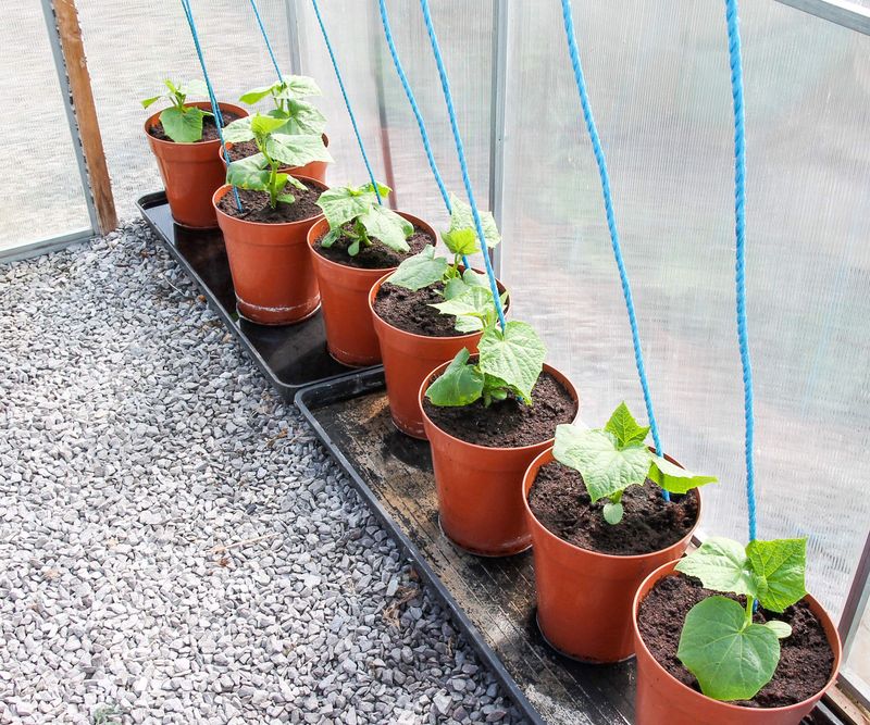 Avoid Containers That Dry Out Fast Avoid Containers That Dry Out Fast