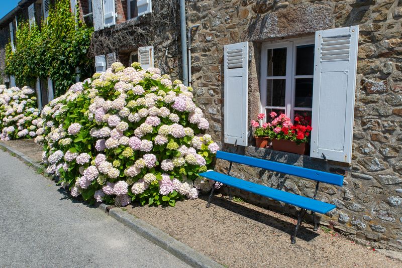Avoid Moving Or Transplanting Once Growth Starts