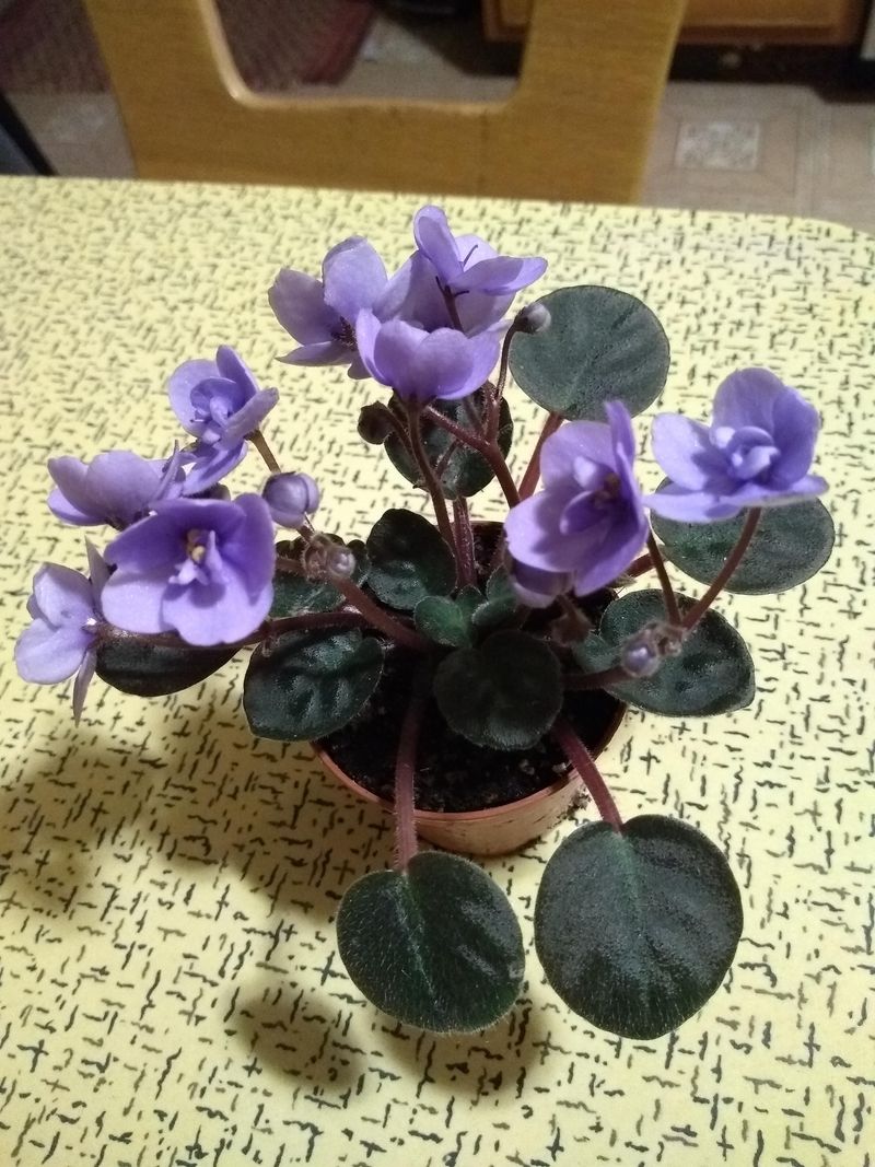 Avoid Over-Pruning