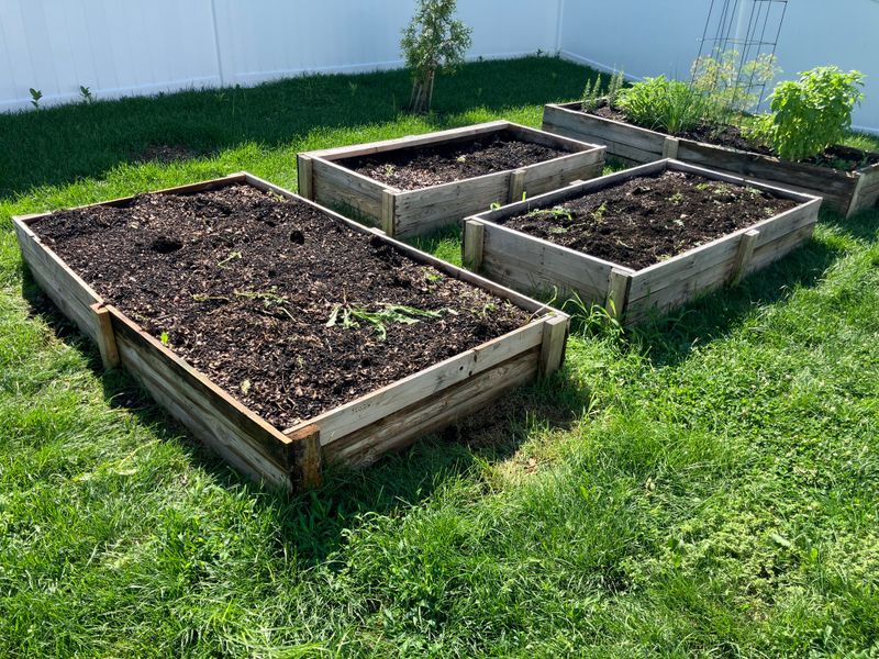 Avoid Planting In Cold, Wet Soil