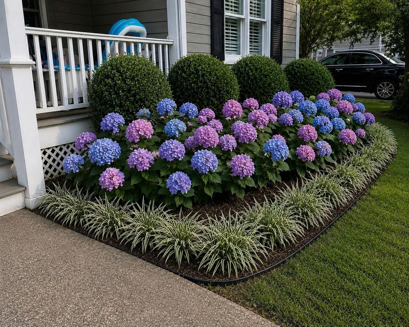 Avoid Pruning Off Future Flower Buds Avoid Pruning Off Future Flower Buds