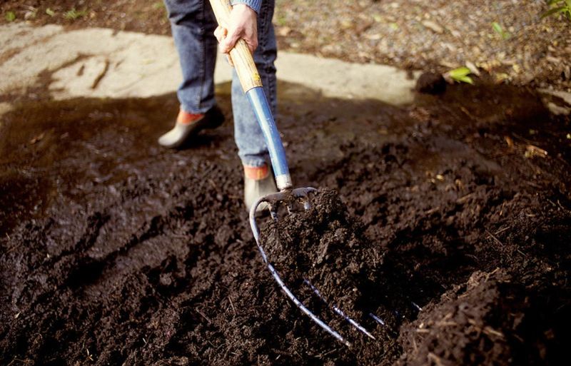 Avoid Tilling Soil Unnecessarily And Bringing Up Weed Seeds