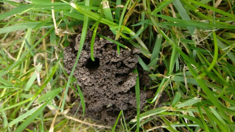 Avoid Using Multiple Repellents At The Same Time