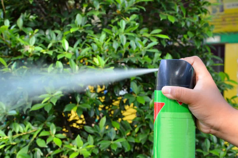 Avoiding Broad Chemical Pesticides