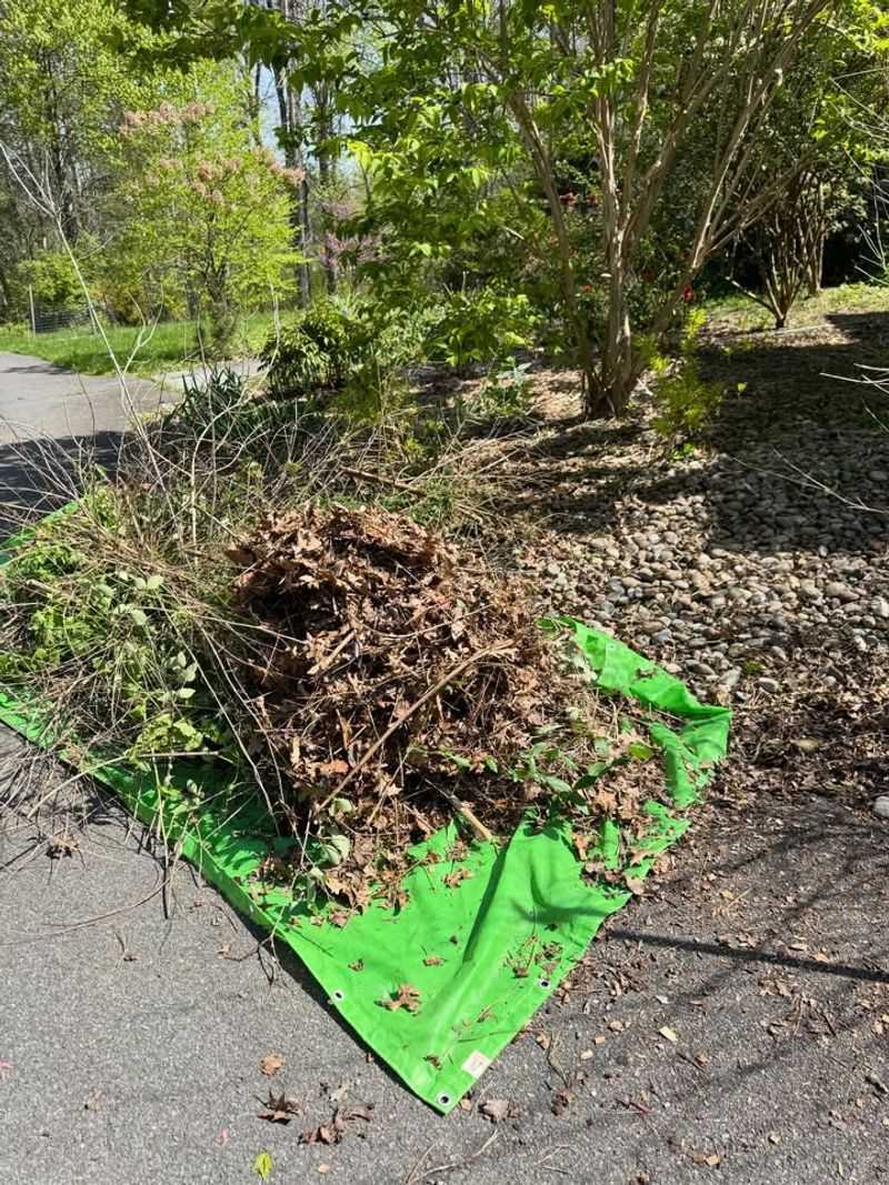 Bag Fallen Leaves And Infected Debris