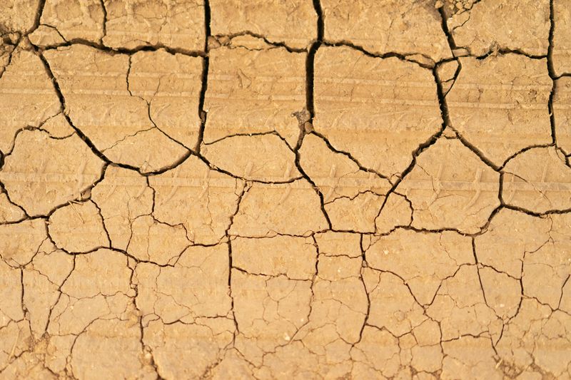 Bare Soil Makes Moisture Swings Worse Bare Soil Makes Moisture Swings Worse