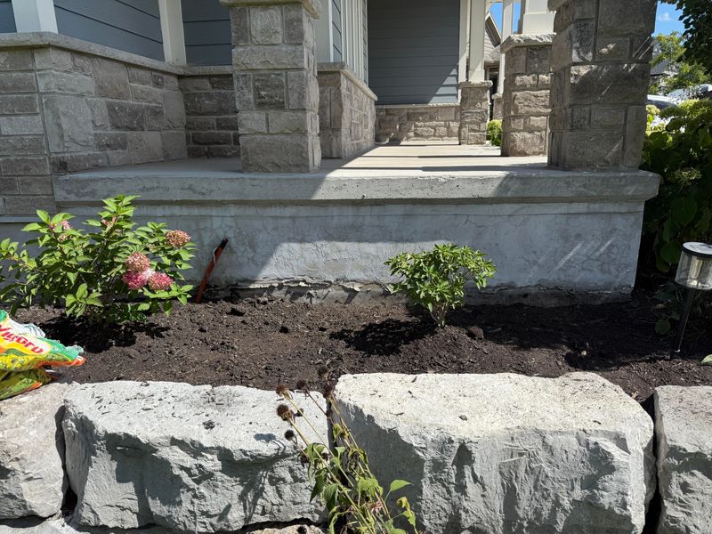 Bare Soil Turns Into Weeds Fast