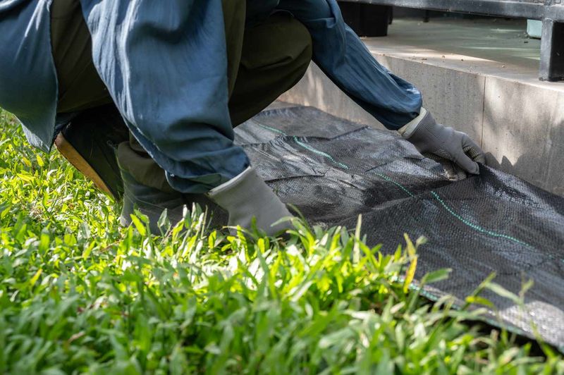 Be Careful With Landscape Fabric As A Long-Term Fix