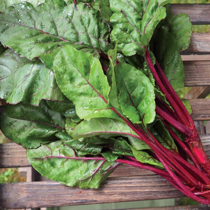 Beet Greens