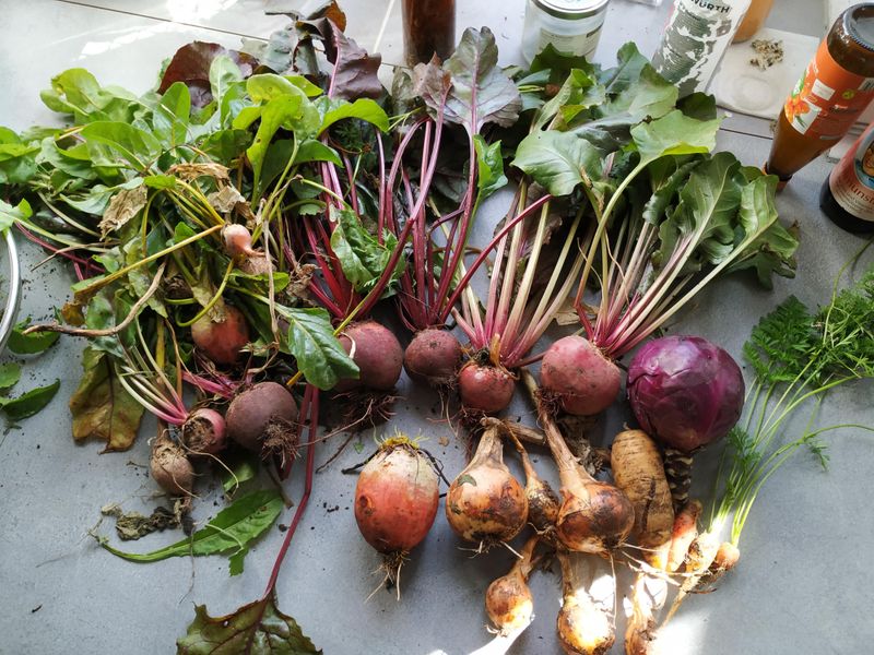 Beets