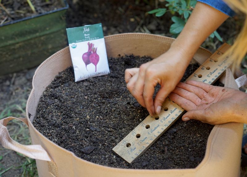 Beets Still Fit The Early May Sowing Window