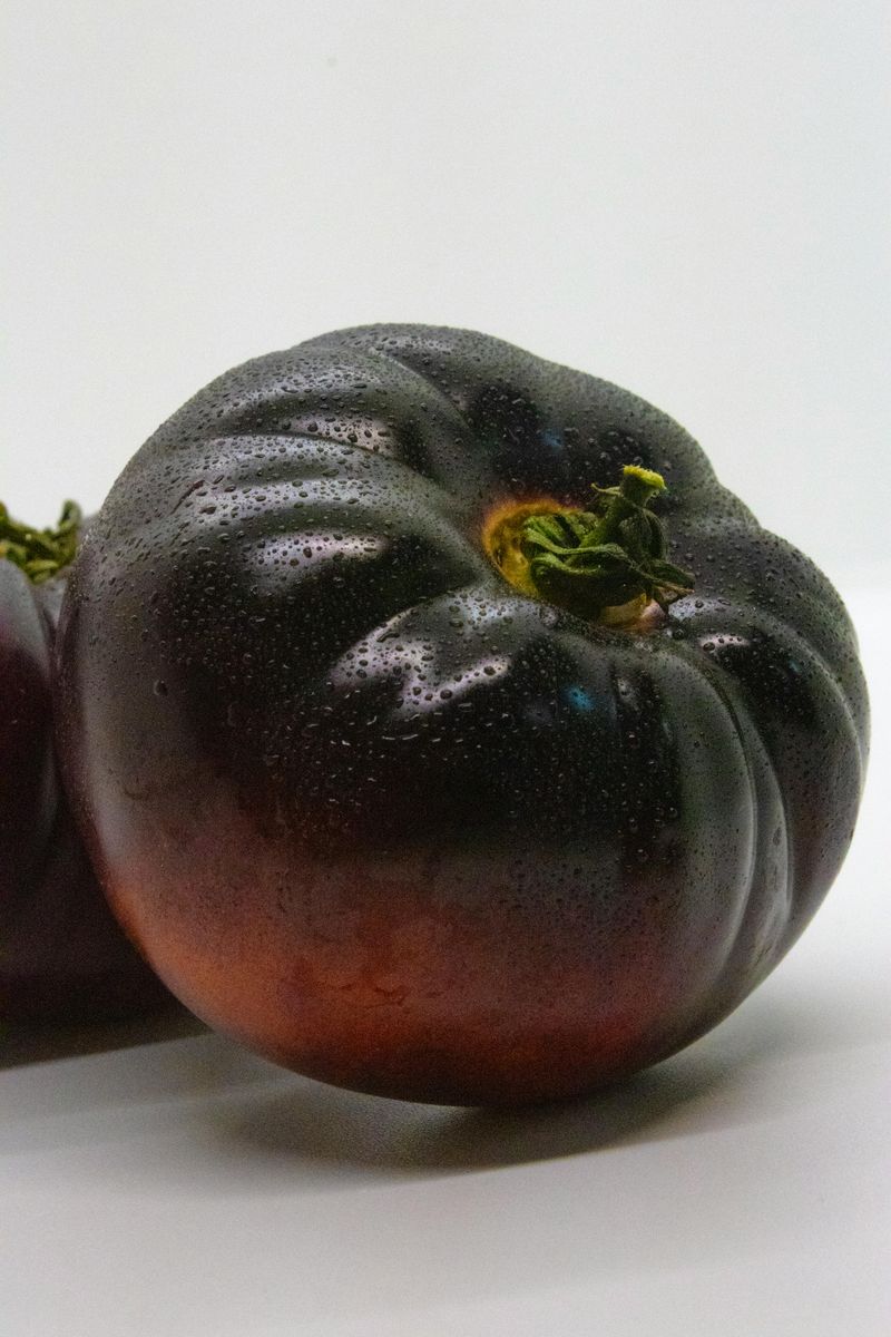 Black Krim Black Krim