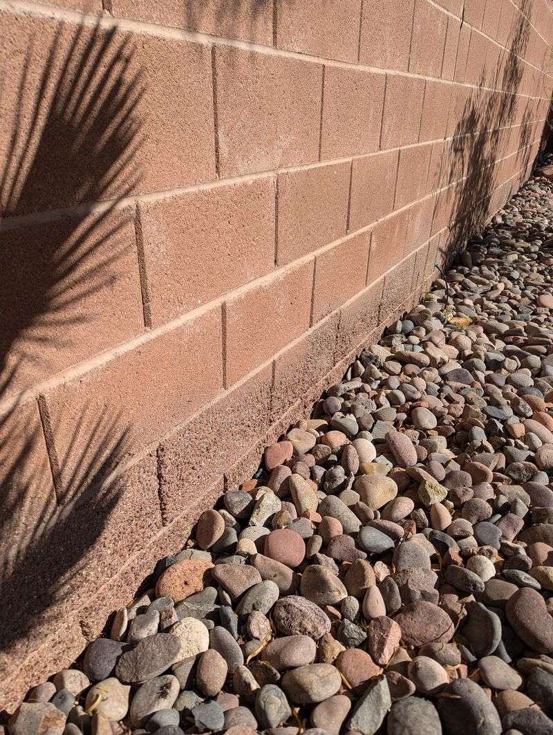 Block Wall Gaps Give Bark Scorpions Faster Travel Paths Block Wall Gaps Give Bark Scorpions Faster Travel Paths