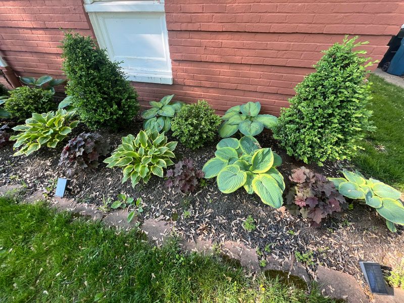 Blocking Airflow Around Plants