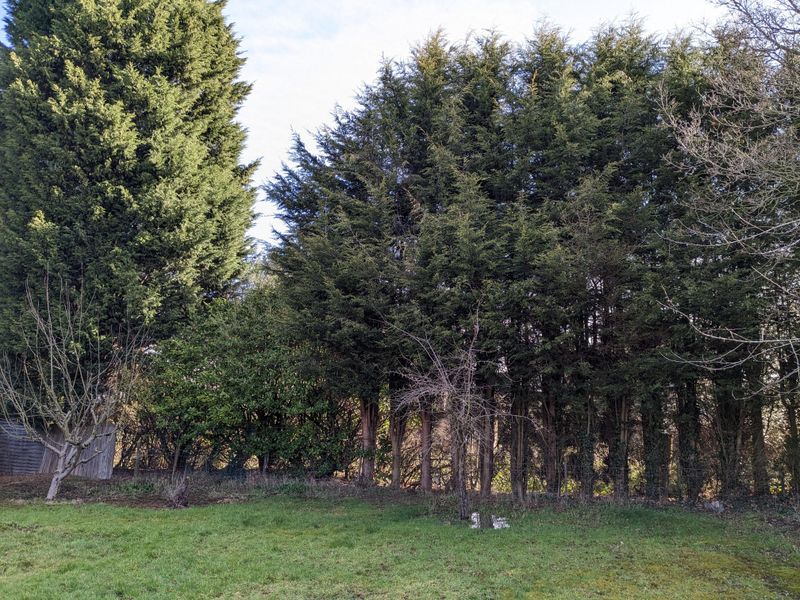 Boundary Trees And Shared Responsibility Boundary Trees And Shared Responsibility