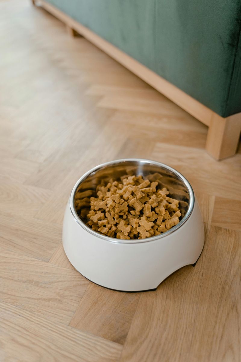 Bring Pet Food Inside Before Dark Every Evening Bring Pet Food Inside Before Dark Every Evening