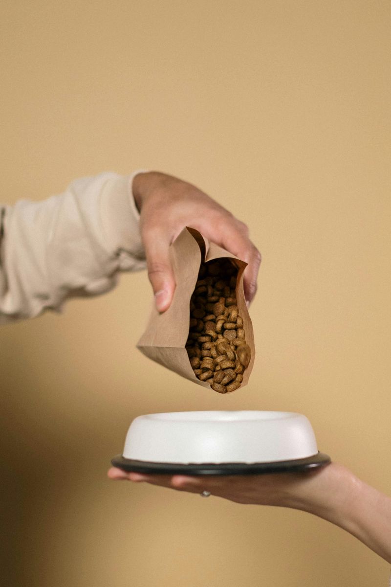 Bring Pet Food Inside Before Dark