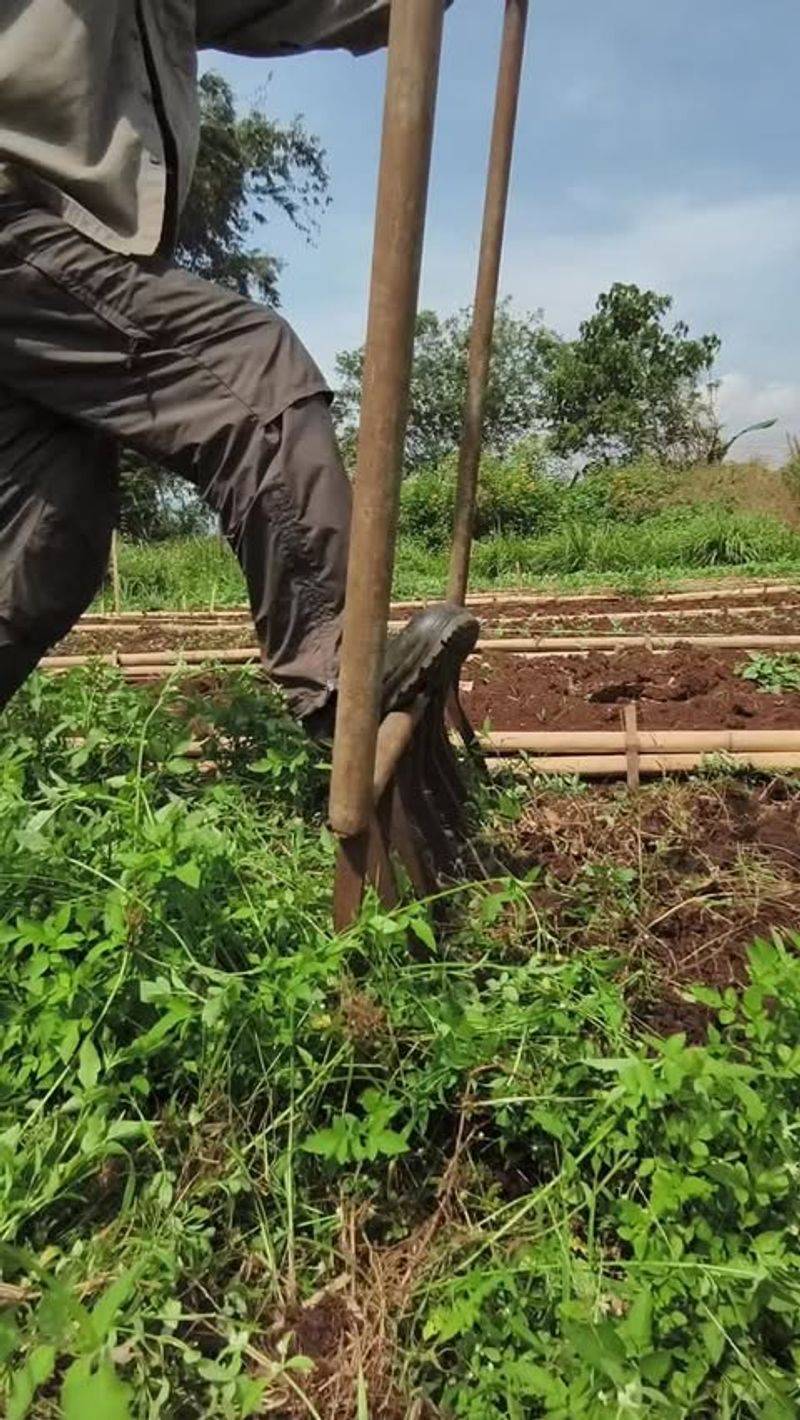 Broadforks Help Small Gardens Without Heavy Equipment
