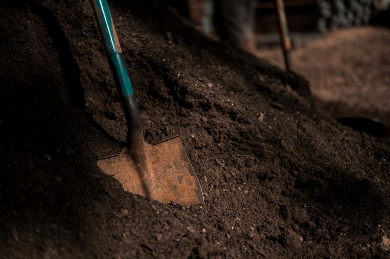 Buy Topsoil By The Cubic Yard From Local Suppliers Buy Topsoil By The Cubic Yard From Local Suppliers