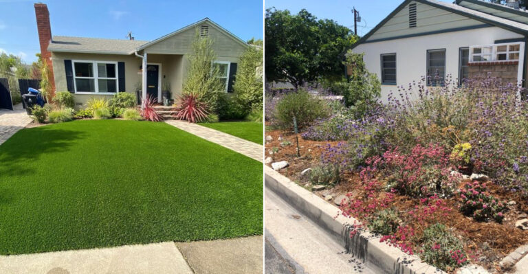California Gardeners Are Replacing Their Lawns This Summer And Getting Paid To Do It