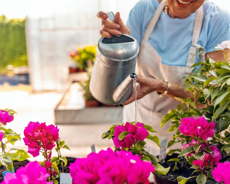 Careful Watering