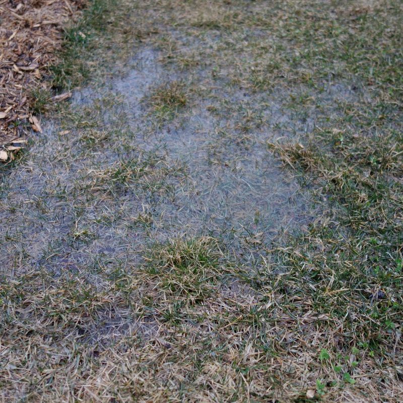 Catch Leaks Before Bills Spike Catch Leaks Before Bills Spike