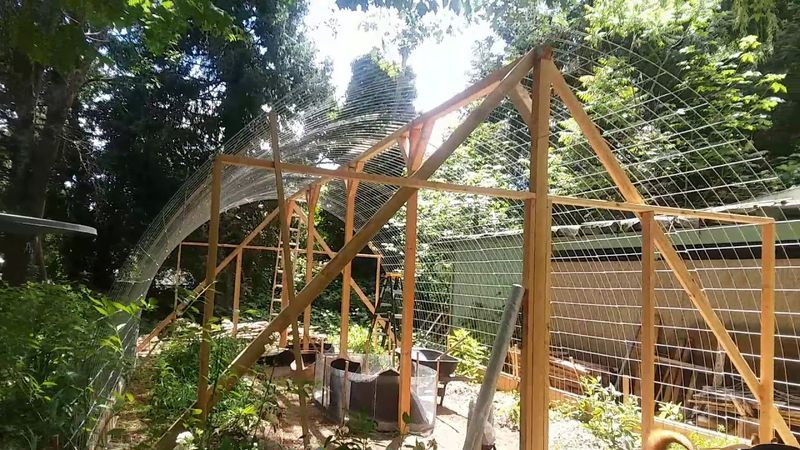 Cattle Panel Greenhouse With Strong Airflow Design