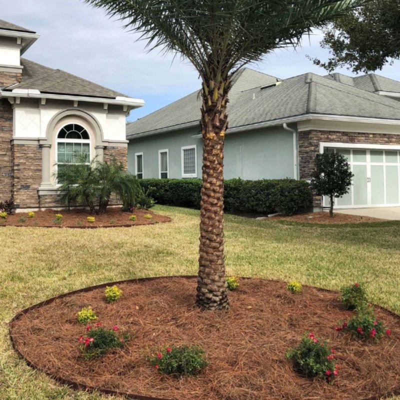Central Florida Yards Can Dry Out Quickly