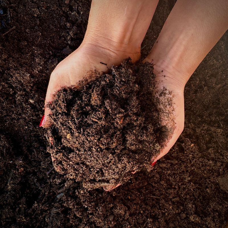 Cheap Or Unknown Topsoil