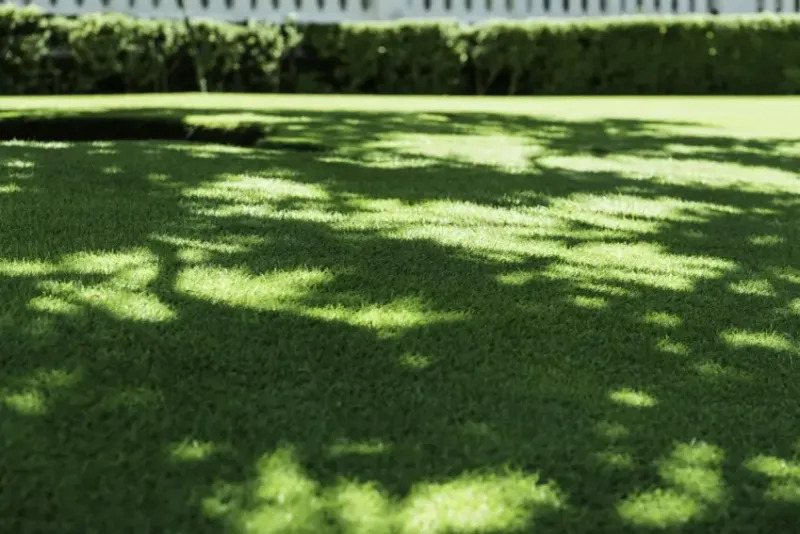 Check Moist, Shaded Areas More Frequently In May