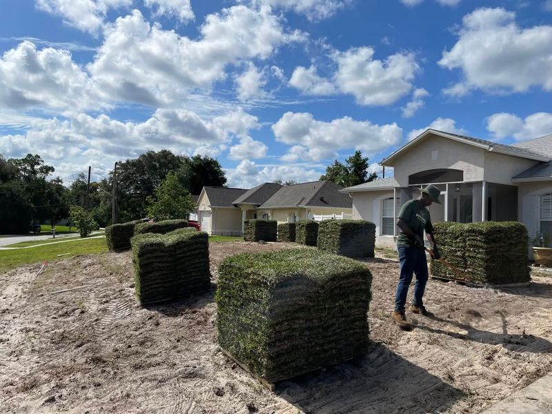 Check The Heat Before You Roll Out New Sod