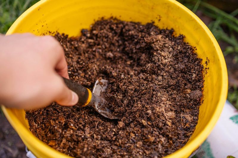 Chemical Soil Conditioners And Quick Fixes