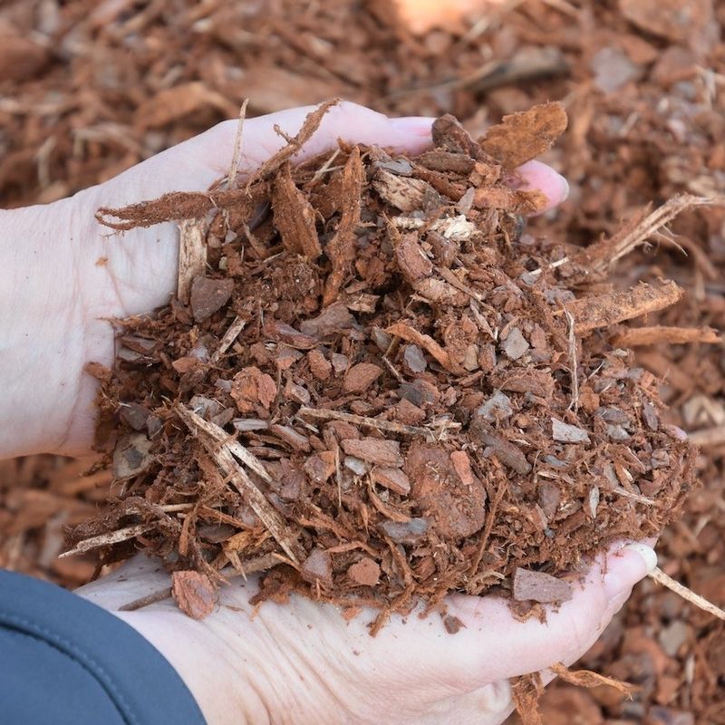 Choose Clean Weed-Free Mulch Choose Clean Weed-Free Mulch