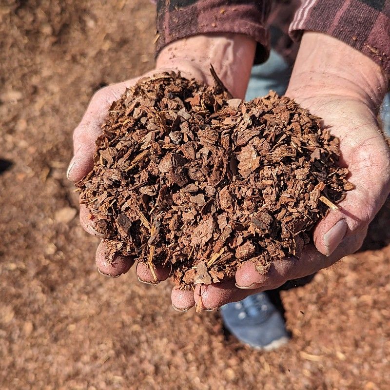 Choose Mulch That Handles Florida Rain Wisely
