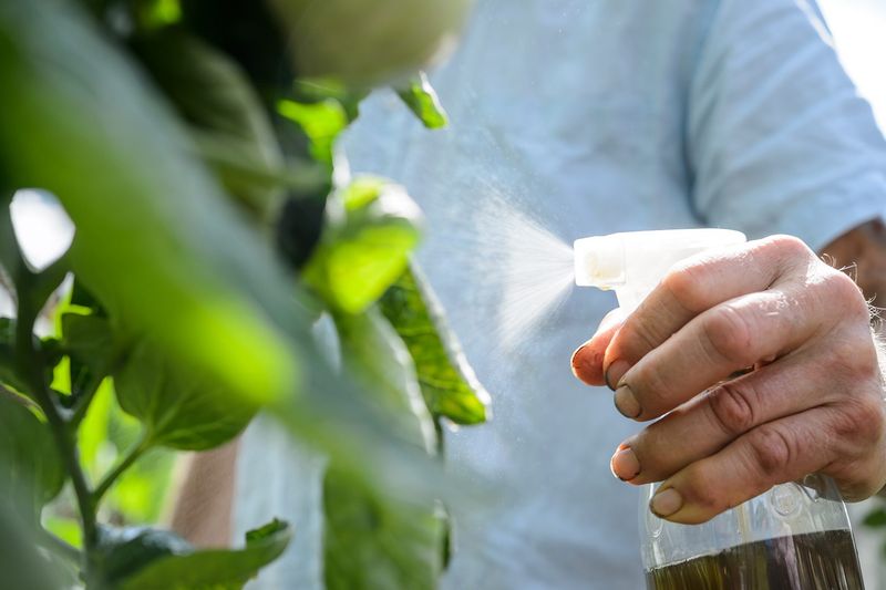 Choose Softer Products When Treatment Is Needed