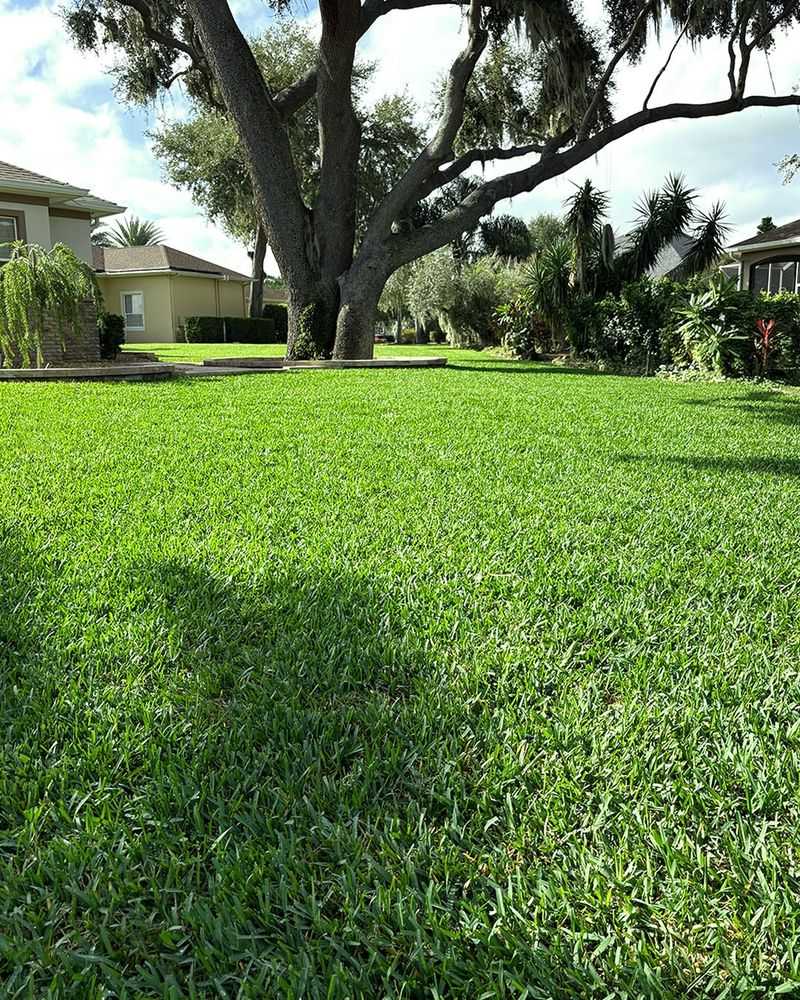 Choose The Right Turfgrass For Your Florida Region