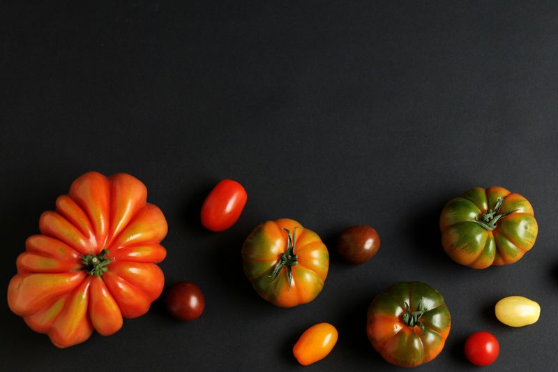 Choosing The Wrong Tomato Varieties