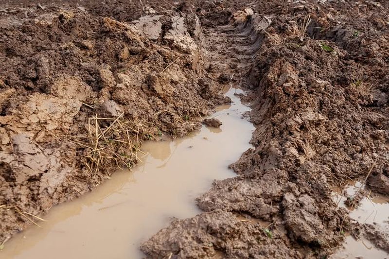 Clay Particles Drain Slowly Clay Particles Drain Slowly