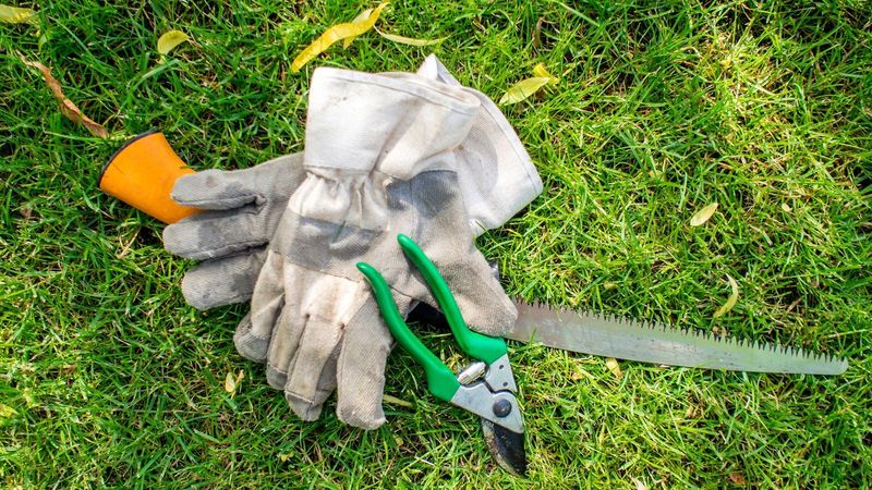 Clean Tools To Reduce Disease Spread
